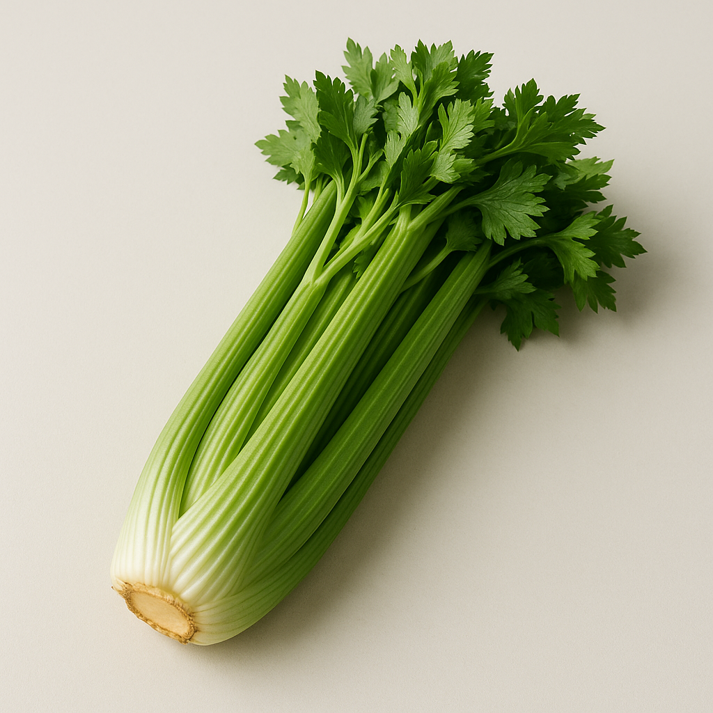 Seler naciowy 500g